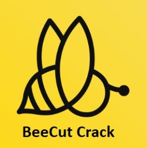 BeeCut Crack 